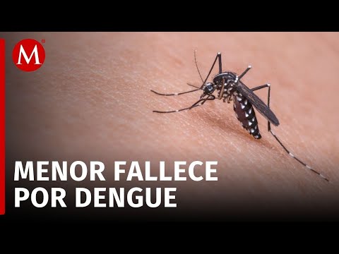 Un menor de 11 años es registrado como la primera víctima mortal del dengue en Puebla