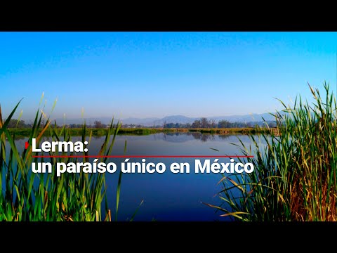 ¿Conoces Lerma? Su gastronomía, cultura y clima lo hacen un lugar imperdible para los turistas