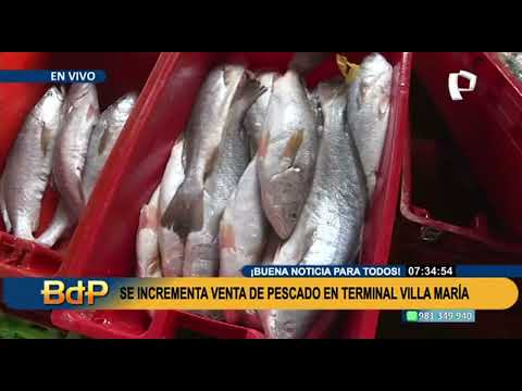 VMT: venta de pescado se incrementa en terminal pesquero