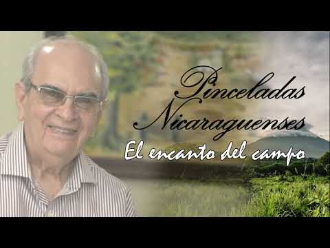 Pinceladas Nicaragüenses - El encanto del campo