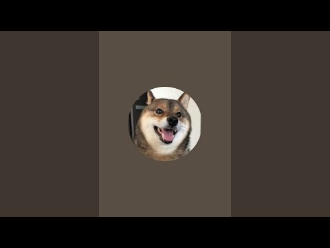 7月9日夜の散歩LIVE サムネイル