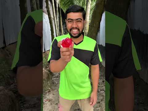 এই টিগিস#newfunny#viralvideo