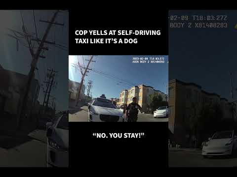 Cop Yells at a Self-Driving Taxi Like It's a Dog