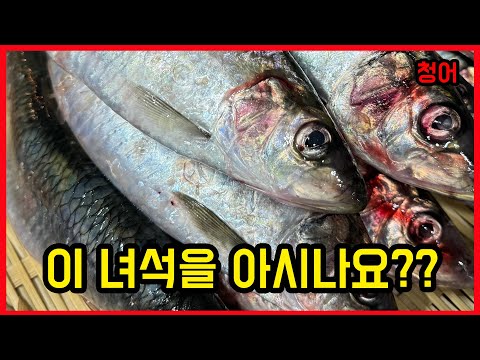 안보면 손해 이거만 보면 할 수 있는 청어 손질 오로시,스시,이소베마끼 How to <strong>SASHIMI</strong> #ニシン #herring #seafood