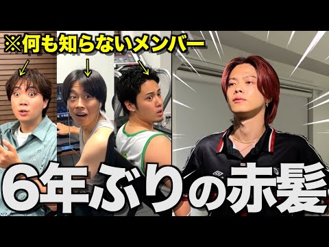 【いのもや】やまとがメンバーに内緒で6年ぶりに赤髪に染めたら革命すぎて腰抜けたwwwwwww