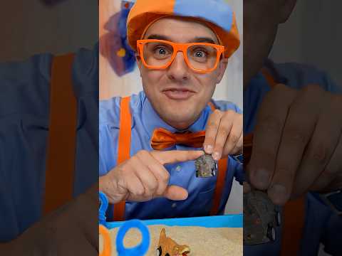 Did you know this T-Rex Fact? #dinosaurs #blippi #funfact #facts