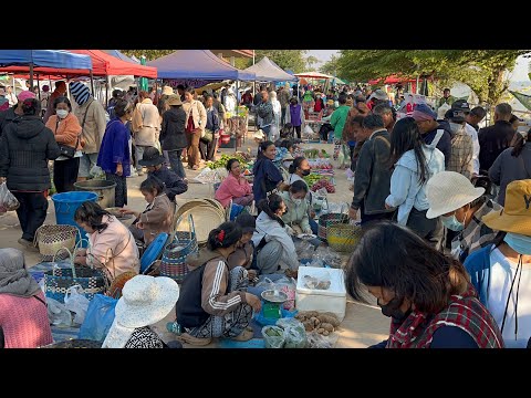 ตลาดนัดไทยลาวบ้านหนาดของป่า