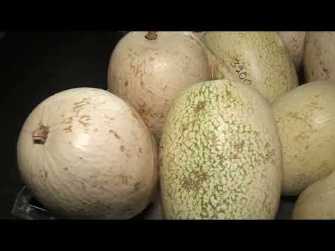 Palmito, chiverre y coco en la Feria del Productor Generaleño