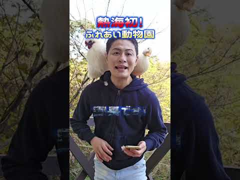 ウサギちゃんと紹介と１１月度の収支動画です(^^)