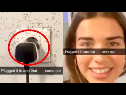BUGS CAME OUT! | FUNNY VIDEOS