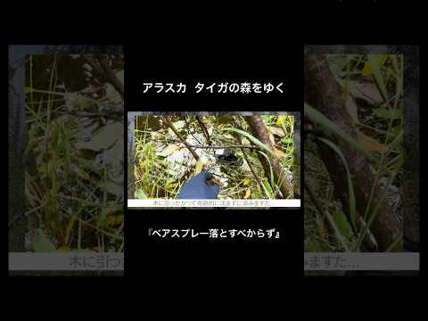 奇跡的に見つかる落とし物たち