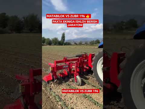 👍 FARMING #chorva#tiktok#instagram#farm#farming#cow#bulls#bull#ferma#buqa#buqaboqish#sigir#bullet#1m