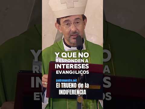 ? PAPA FRANCISCO | El TRUENO de la INDIFERENCIADA #papafrancisco #iglesia #papa