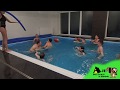 id640-Žralok v bazénu utočí