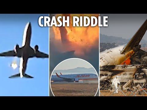 What caused fireball South Korea plane crash as 179 confirmed dead in horror explosion