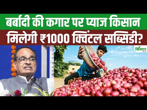 Onion Price: प्याज किसानों की हालत बदहाल, सरकार से मदद की गुहार | Shivraj Singh PM MOdi। Kisan India