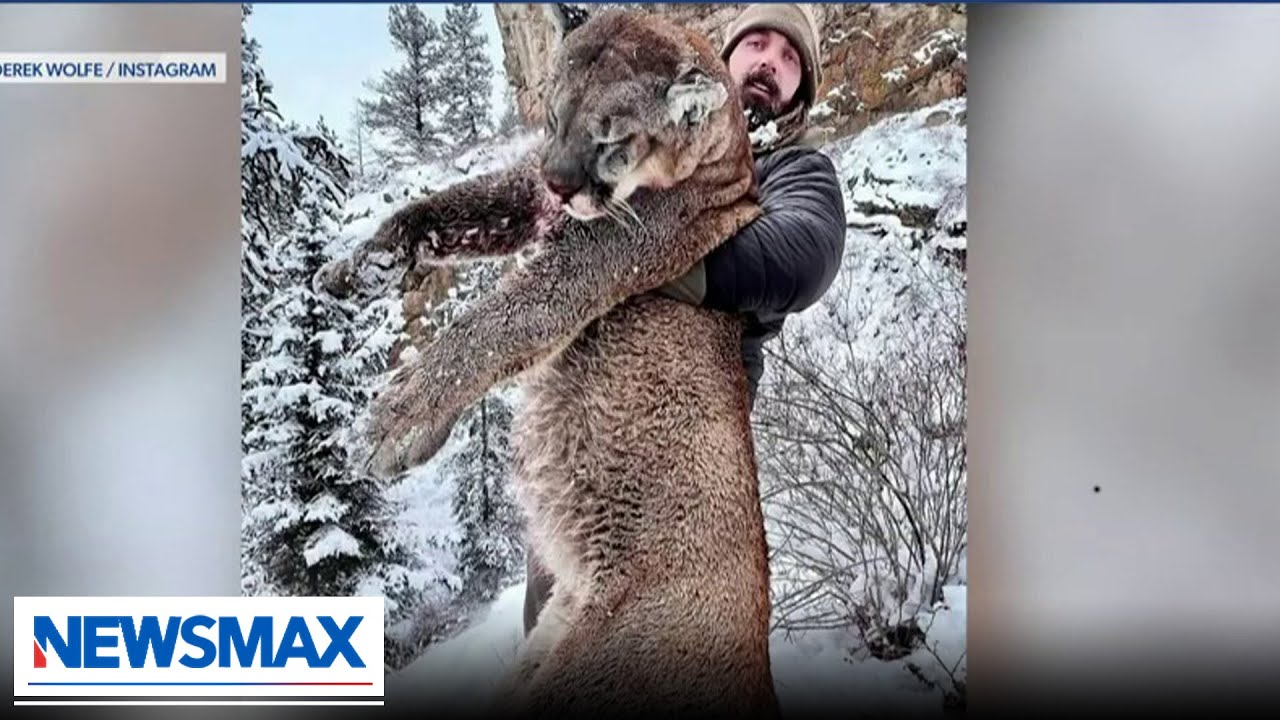 Former NFL player Derek Wolfe kills mountain lion for terrorizing community