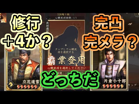 運命の分かれ道！どっちにした方が強くなる？ #新信長の野望  #攻略 #シンノブ  #超越 #四聖争覇#覇業