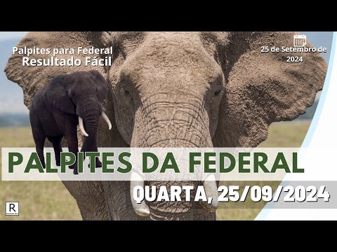 Palpite Federal Jogo do Bicho do dia 25/09/2024 - Resultado Fácil