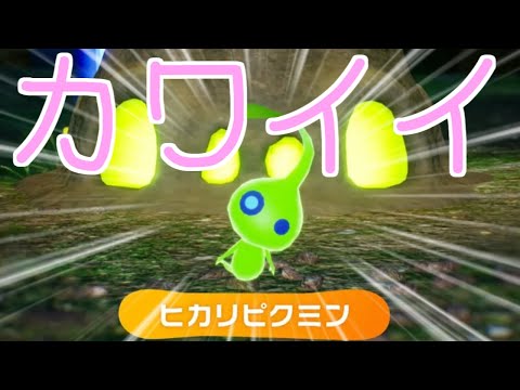 🔴【ピクミン4】ヒカリピクミンと戯れる