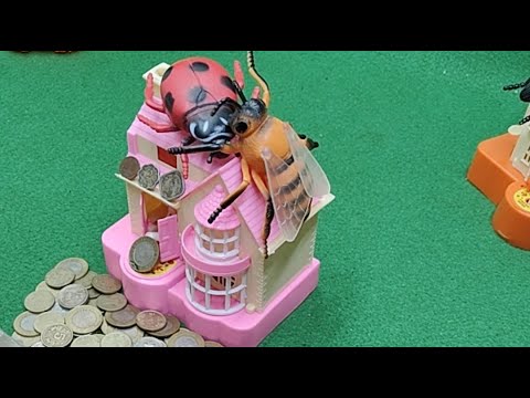 SAMIM CREATOR is live DOG HOUSE BANK ACCOUNT LIVE STREAM