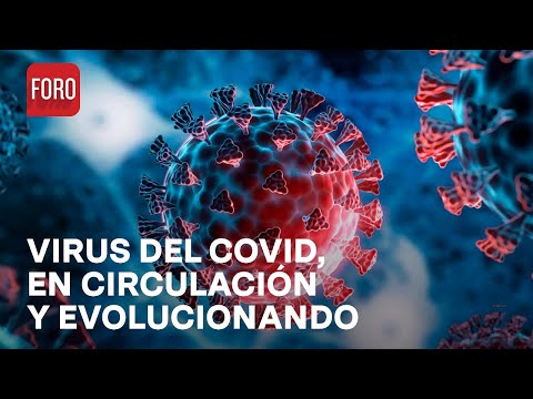 Virus del Covid sigue evolucionando, alertan expertos de la OMS - Hora 21