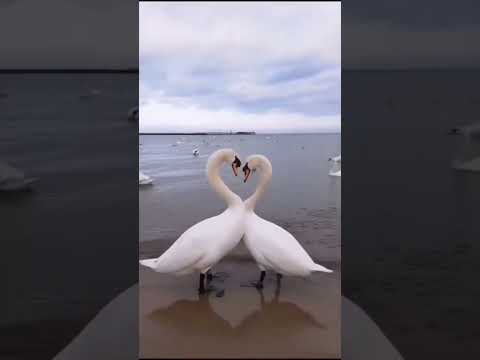 #explorepage     ##£££