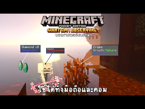 แอดออนบอกรายละเอียดในเกมมายครา