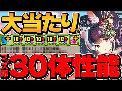 フェス限30体の価値！？夏休みミナカが最強サブに！裏千手テンプレ周回多色編成！使ってみた【パズドラ】