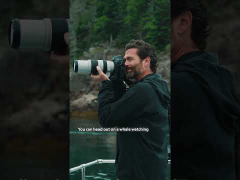 Paid content for The Maine Office of Tourism.