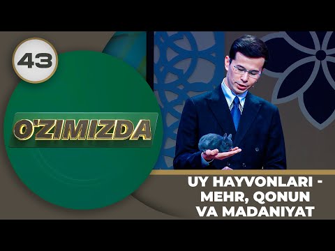 O'zimizda tok shou 43-son UY HAYVONLARI - MEHR, QONUN VA MADANIYAT