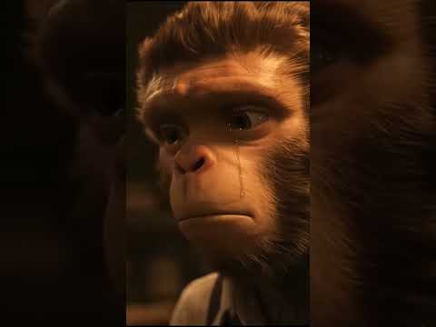 The Sad Worker Monkey 😢 | Emotional Story | Kids Fun”