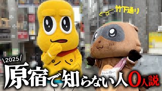 【5年ぶり】バズらせ屋ピーナッツくん原宿で認知度100%だよね？調査します！！！！