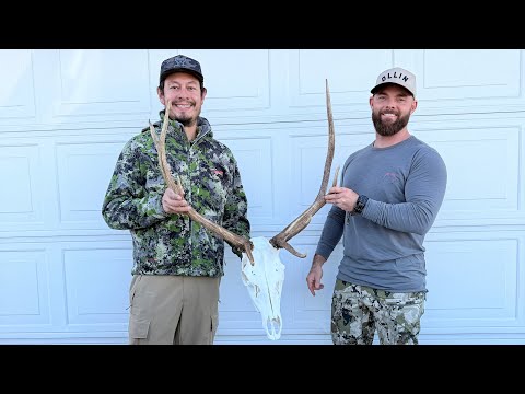 I GAVE AWAY (gifted) ONE OF MY ELK | NEW ELK HUNT