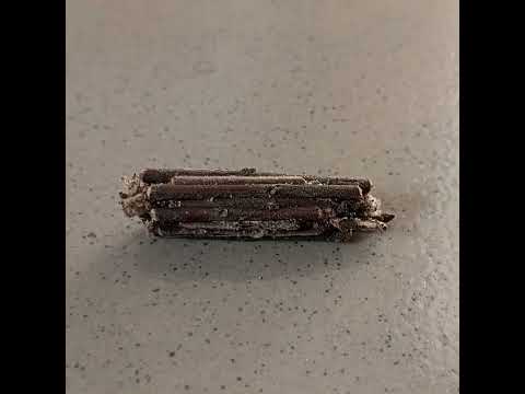 Unamjua Huyu Kiumbe?