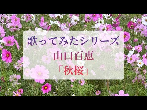 歌ってみたシリーズ７弾 秋桜/山口百恵