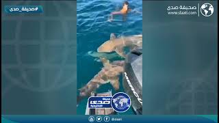 مفاجأة وقت الصيد والسباحة