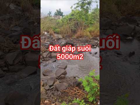 Đất giáp suối đẹp mê ly #bdsthiennhan #batdongsan
