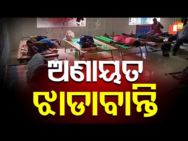 Jajpur Diarrhoea Outbreak: 4 Dead, Over 500 Infected as Health Emergency Unfolds