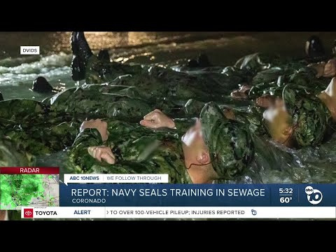 Report: Navy leaders criticized for SEALs training in sewage-contaminated water