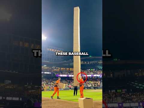 These Baseball Players Made <strong>The</strong> Tallest <strong>Box</strong> Tower 😮