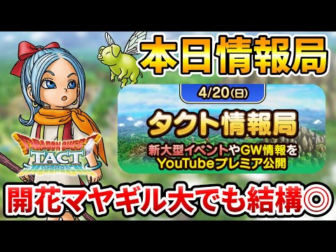 【ドラクエタクト】今日情報局です！！【少女マヤ・ギルド大会デビュー】