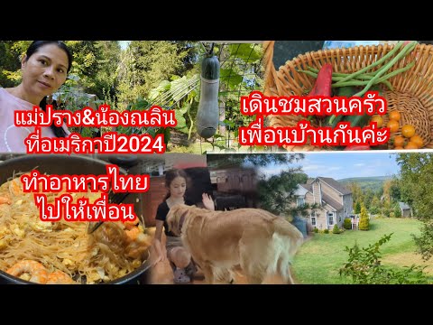 ทำอาหารไทยผัดไทยกุ้งไปให้เพื่อ