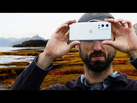 Shot on OnePlus - Alaskan Wilderness