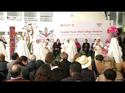 Expo “Maguey, corazón de Hidalgo”, del 23 de noviembre de 2023