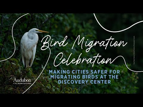 Making Cities Safer for Migrating Birds | Bird Migration Celebration Tour: Philadelphia, PA