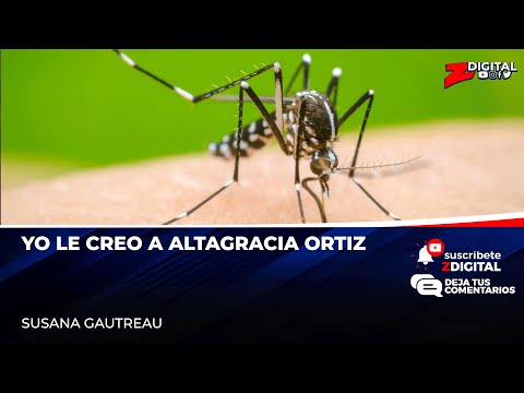 Las cifras del dengue y Altagracia Ortiz
