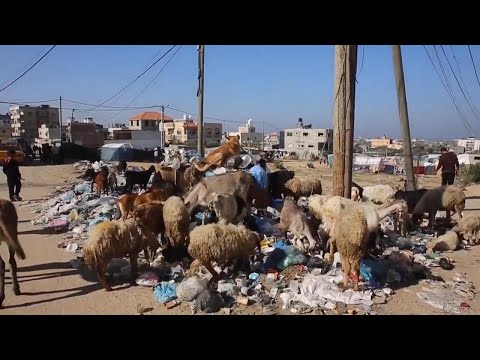 Tons of garbage pile up in Gaza streets amid war, raising health concerns