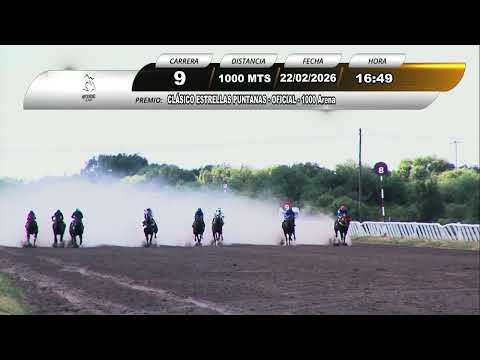 Hipódromo La Punta - CLASICO ESTRELLAS PUNTANAS (Carrera 9) 22/02/26