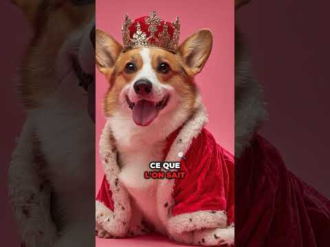 3 faits méconnus sûr La Reine Elizabeth II ! #reineelizabeth #royalfact #histoire #anecdotes #scout